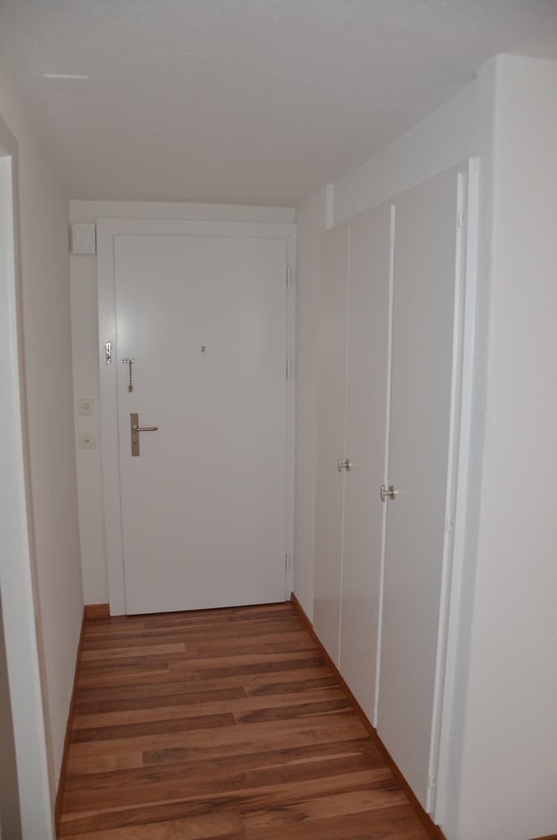 praktische Einbauschränke im Korridor (Musterbild)