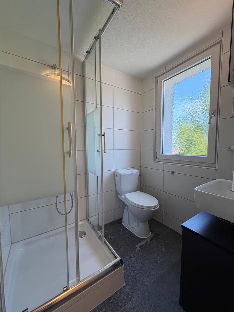 helle, moderne 2.5-Zimmer-Wohnung an zentraler Lage (5)