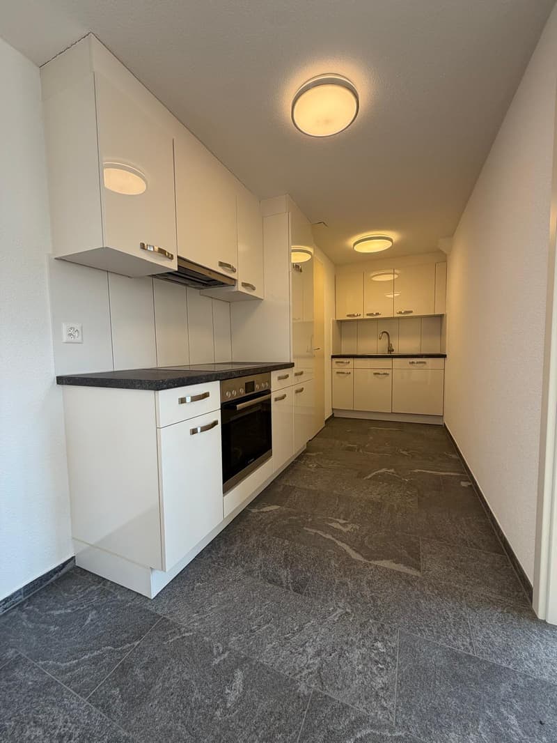 helle, moderne 2.5-Zimmer-Wohnung an zentraler Lage (2)