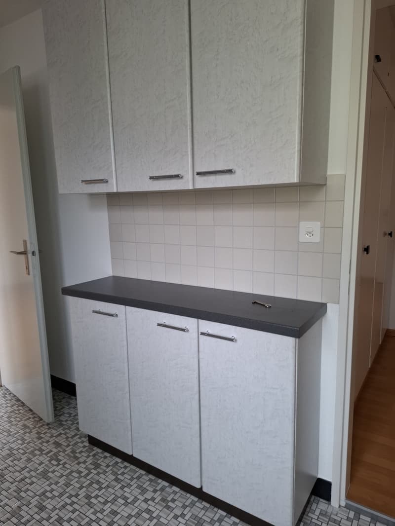 Appartamento 3.5 locali con bella vista (3)