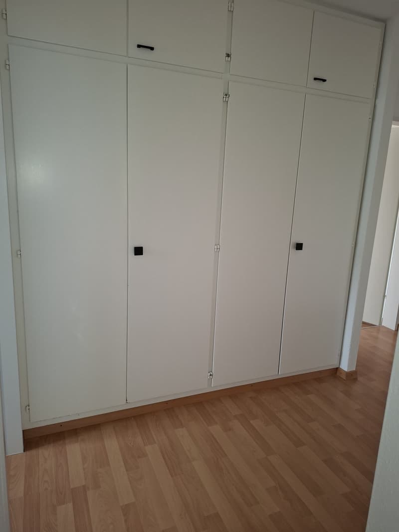 Appartamento 3.5 locali con bella vista (8)