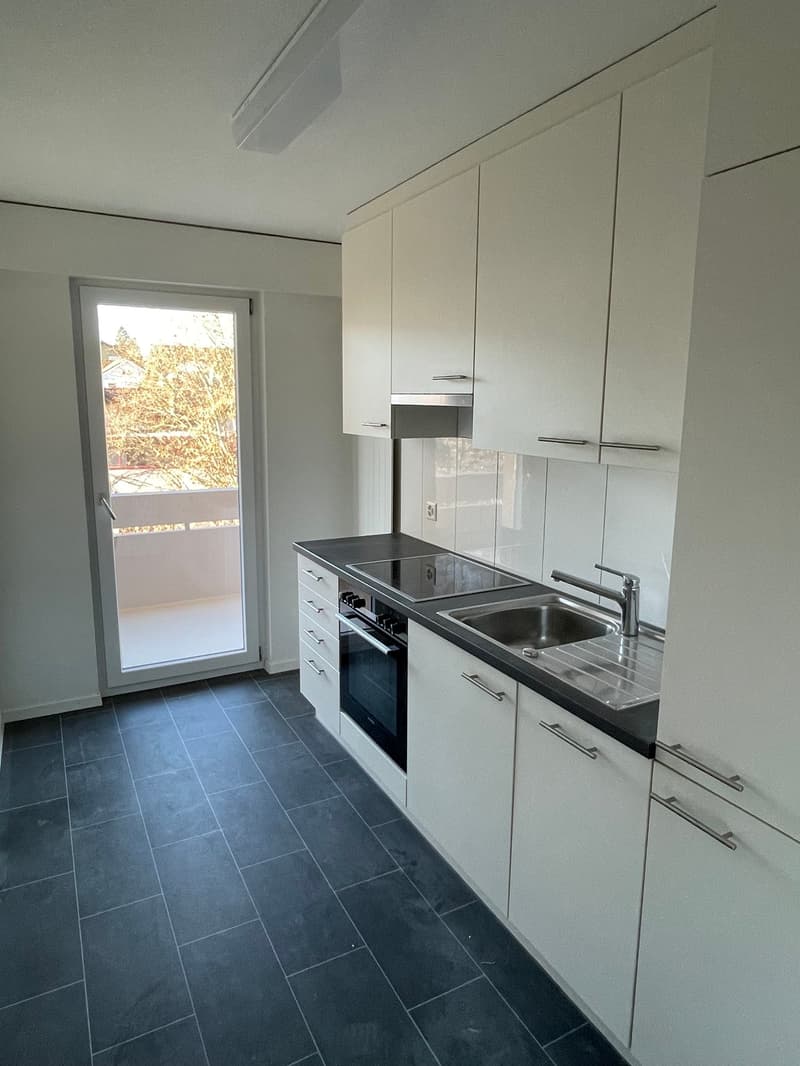 renovierte 3-Zimmer-Wohnung mit grossem sonnigem Balkon (4)