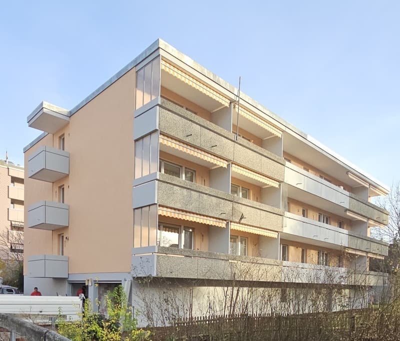 renovierte 3-Zimmer-Wohnung mit grossem sonnigem Balkon (1)