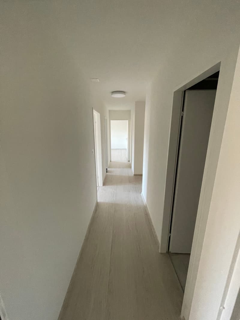 renovierte 3-Zimmer-Wohnung mit grossem sonnigem Balkon (8)