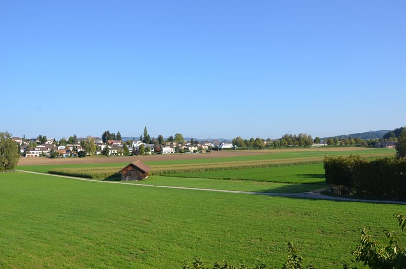 4.5-Zimmer-Wohnung an ruhiger Lage mit Gartensitzplatz (6)