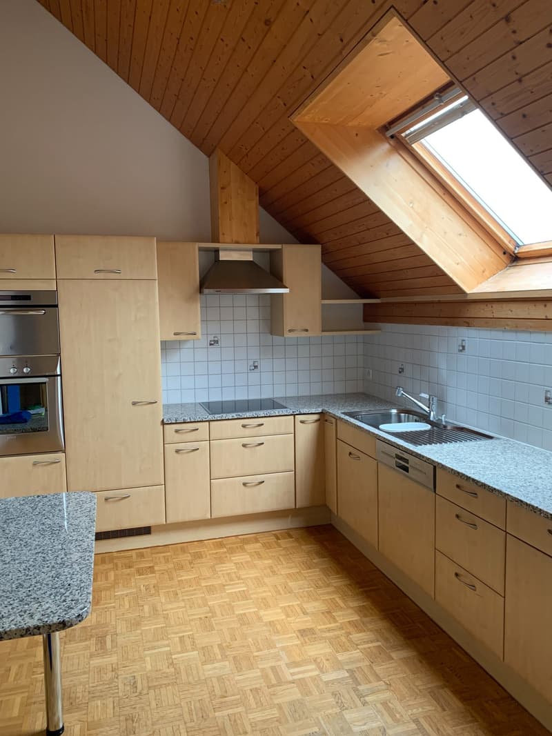 grosse Wohnküche mit Geschirrspüler, GK-Herd, Dampfabzug, Kühlschrank etc.