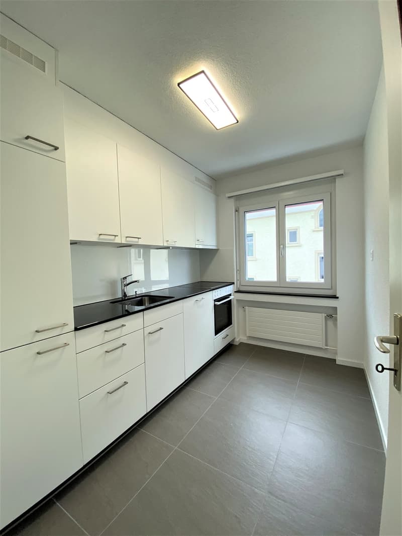 moderne Küche mit Geschirrspüler, Backofen, Dunstabzug etc.