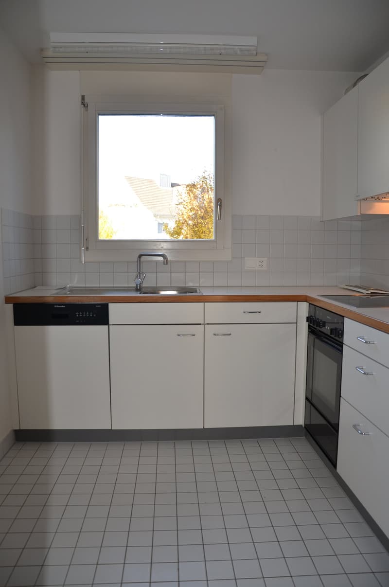 Küche mit Geschirrspüler