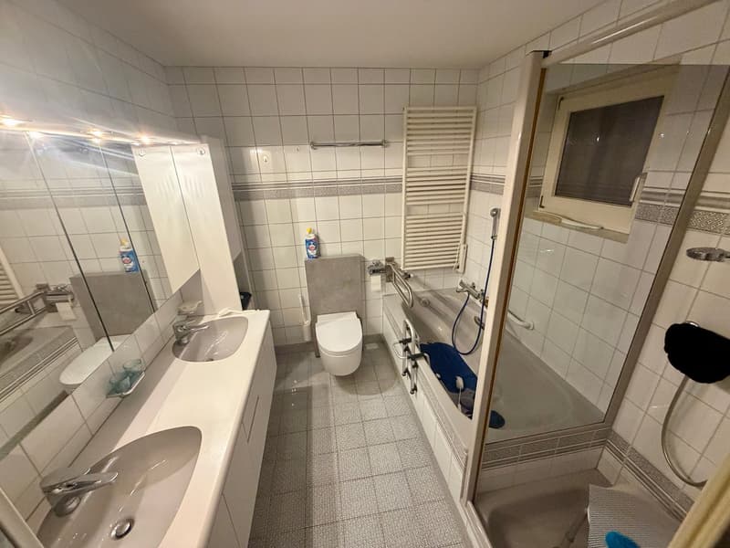 grosszügiges Bad/Dusche/WC