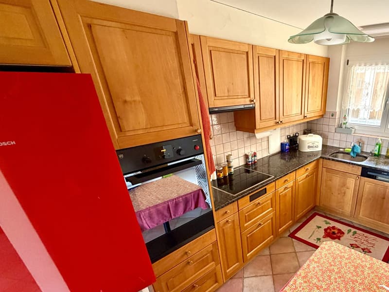 5-Zi.-Maisonette-Wohnung mit Wiesenanteil und Terrasse und traumhafter unverbaubarer Seesicht (9)