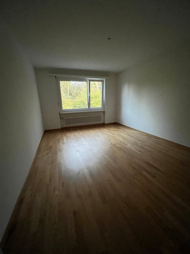 moderne, grosszügige 2.5-Zimmer-Wohnung mit Balkon an ruhiger Lage (4)