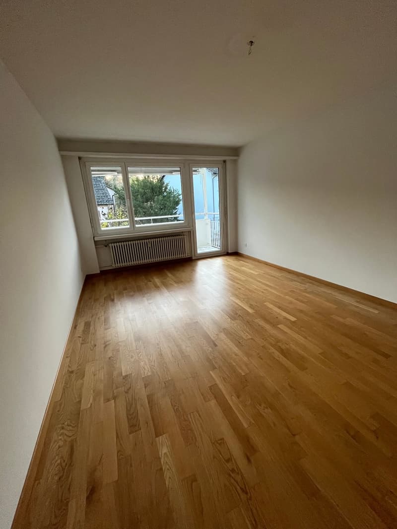 moderne, grosszügige 2.5-Zimmer-Wohnung mit Balkon an ruhiger Lage (3)
