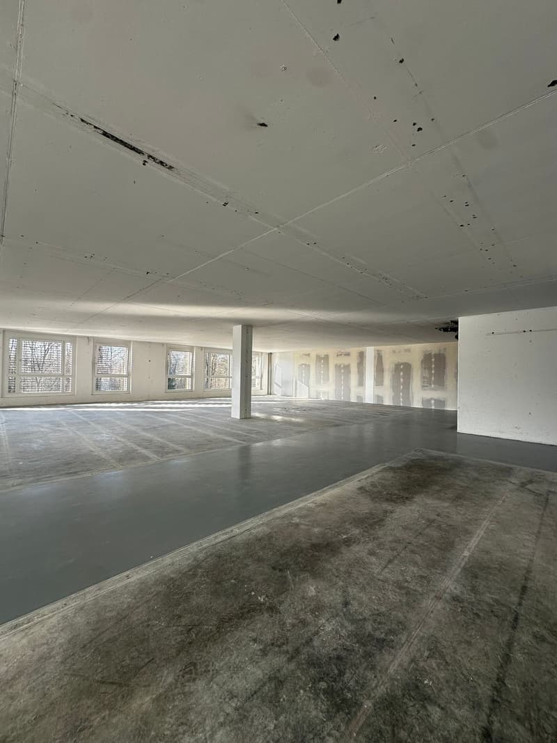 Espace commercial flexible dans la zone industrielle de Dietlikon (5)