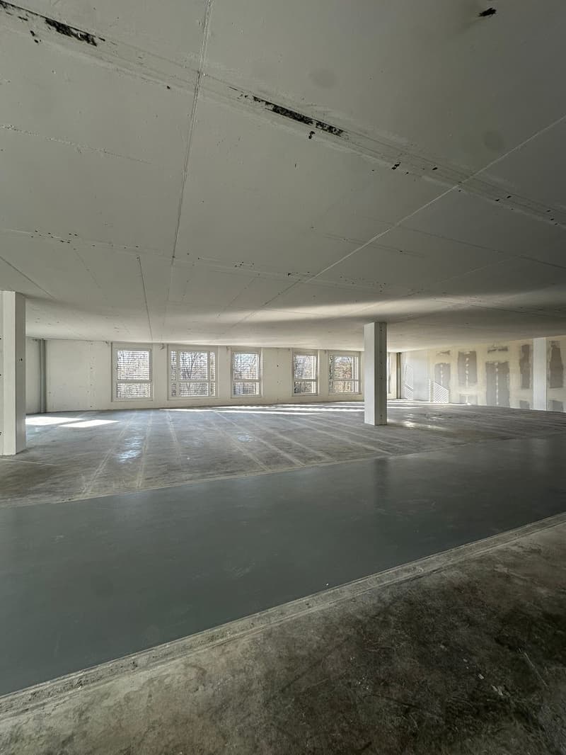 Espace commercial flexible dans la zone industrielle de Dietlikon (7)