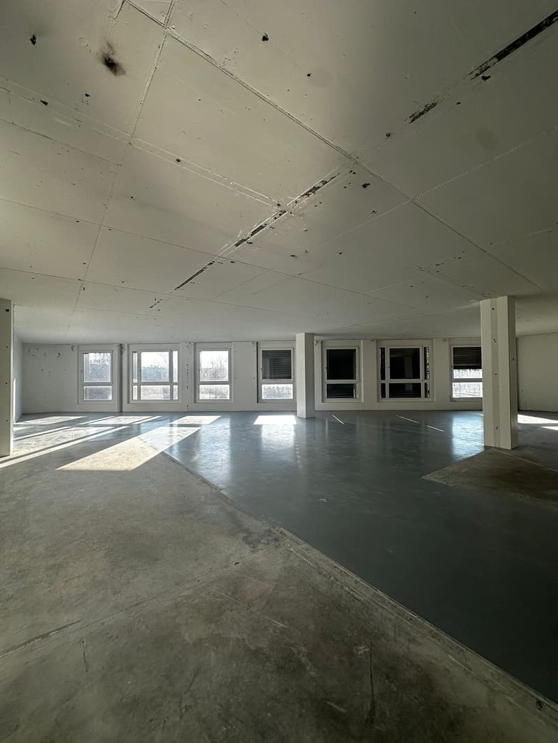 Espace commercial flexible dans la zone industrielle de Dietlikon (9)