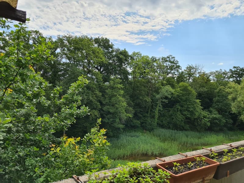 Appartamento di 3 ½ locali, 8951 Fahrweid (8)