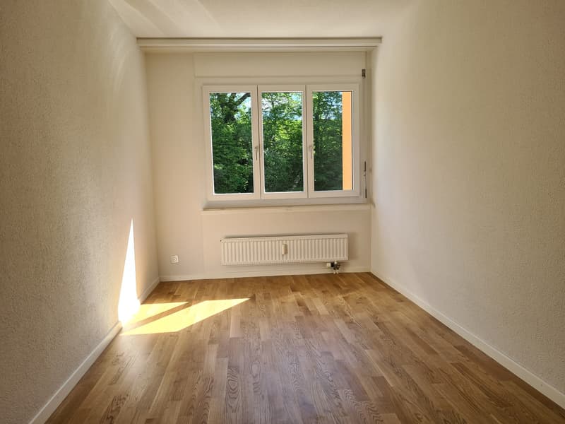 Appartamento di 3 ½ locali, 8951 Fahrweid (3)