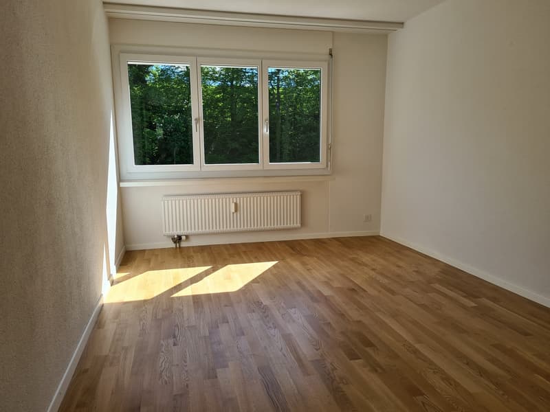 Appartamento di 3 ½ locali, 8951 Fahrweid (4)