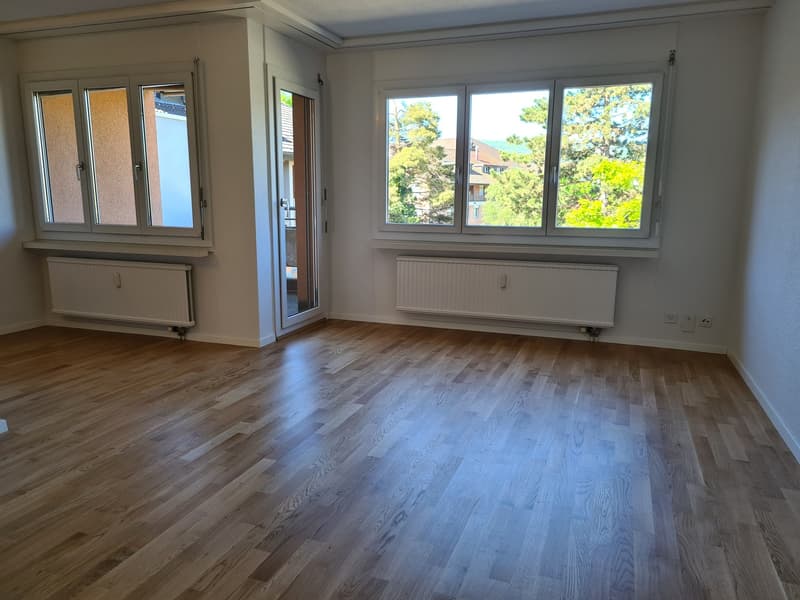 Appartamento di 3 ½ locali, 8951 Fahrweid (2)