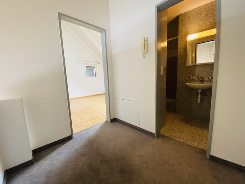 Grosszügige und helle Wohnung in familienfreundlichem Quartier (12)