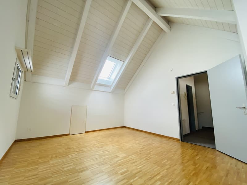 Grosszügige und helle Wohnung in familienfreundlichem Quartier (10)