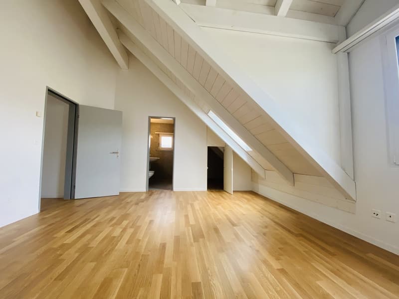 Grosszügige und helle Wohnung in familienfreundlichem Quartier (7)