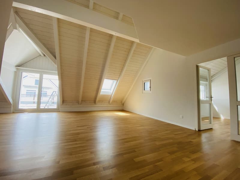 Grosszügige und helle Wohnung in familienfreundlichem Quartier (3)