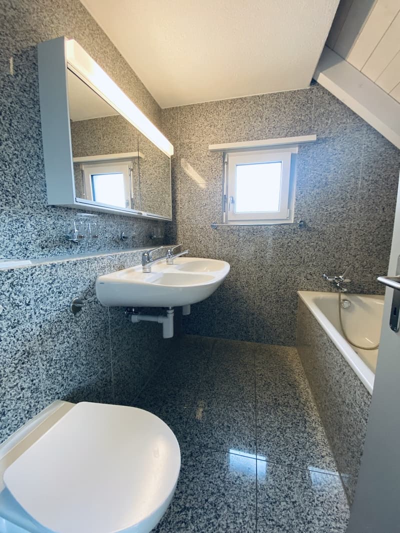 Grosszügige und helle Wohnung in familienfreundlichem Quartier (9)