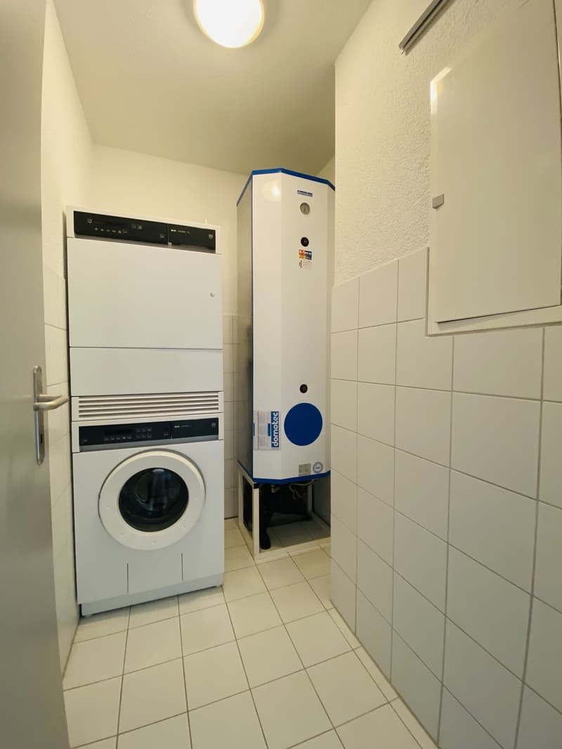 Grosszügige und helle Wohnung in familienfreundlichem Quartier (13)