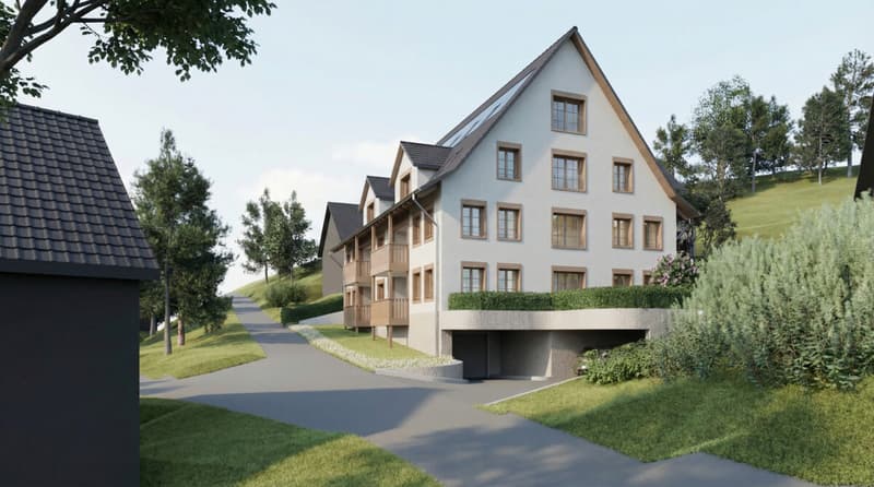 Progetto di costruzione nuovo Hornstrasse, Illnau (1)