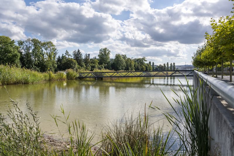 Naherholung in der Nähe