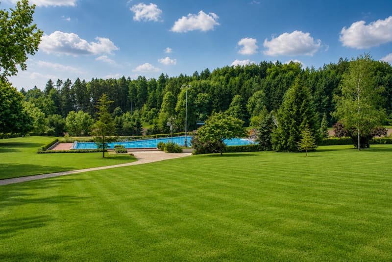 Ihr neues Zuhause im Gartengeschoss (5)