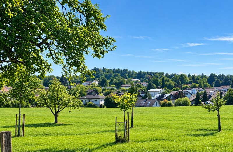 4.5-Zimmer-Gartenwohnung mit Potenzial (5)