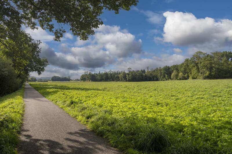 Naherholungsgebiete in kurzer Distanz erreichbar