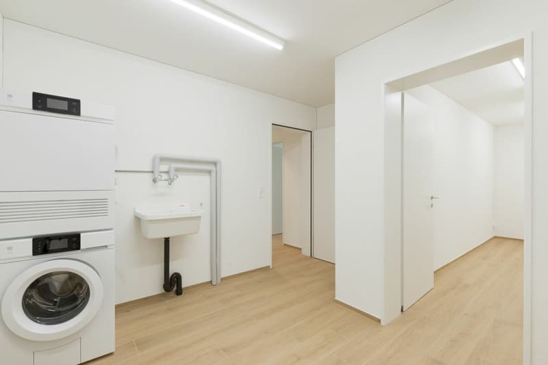 Appartamento moderno 3 ½ locali al piano terra con parte di giardino a Illnau (10)