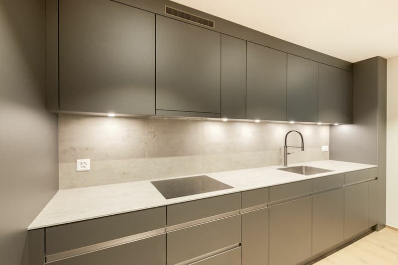 Appartamento moderno 3 ½ locali al piano terra con parte di giardino a Illnau (8)