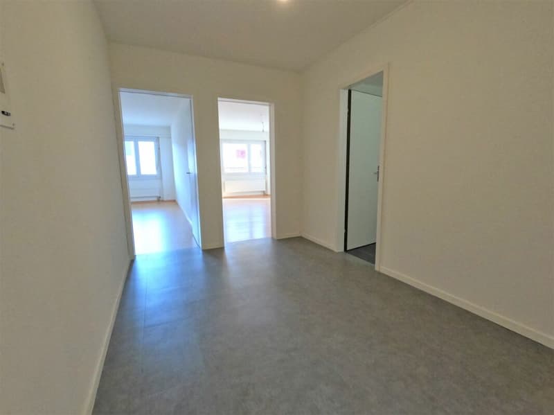 Appartement 3 pièces à prix abordable (3)