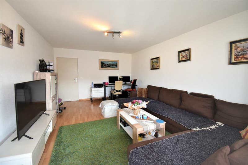 Appartement 3 pièces à prix abordable (7)