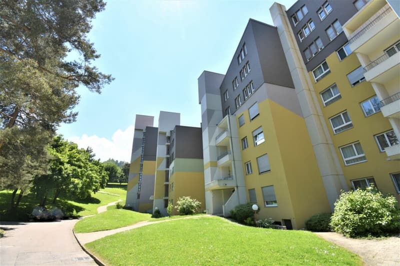 Schöne Maisonette-Wohnung mit Balkon an ruhiger Lage (1)