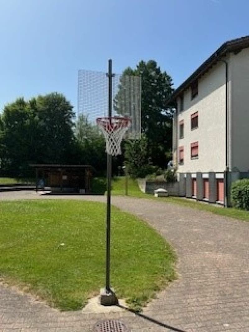 Auwiesenstrasse 47 C (16)