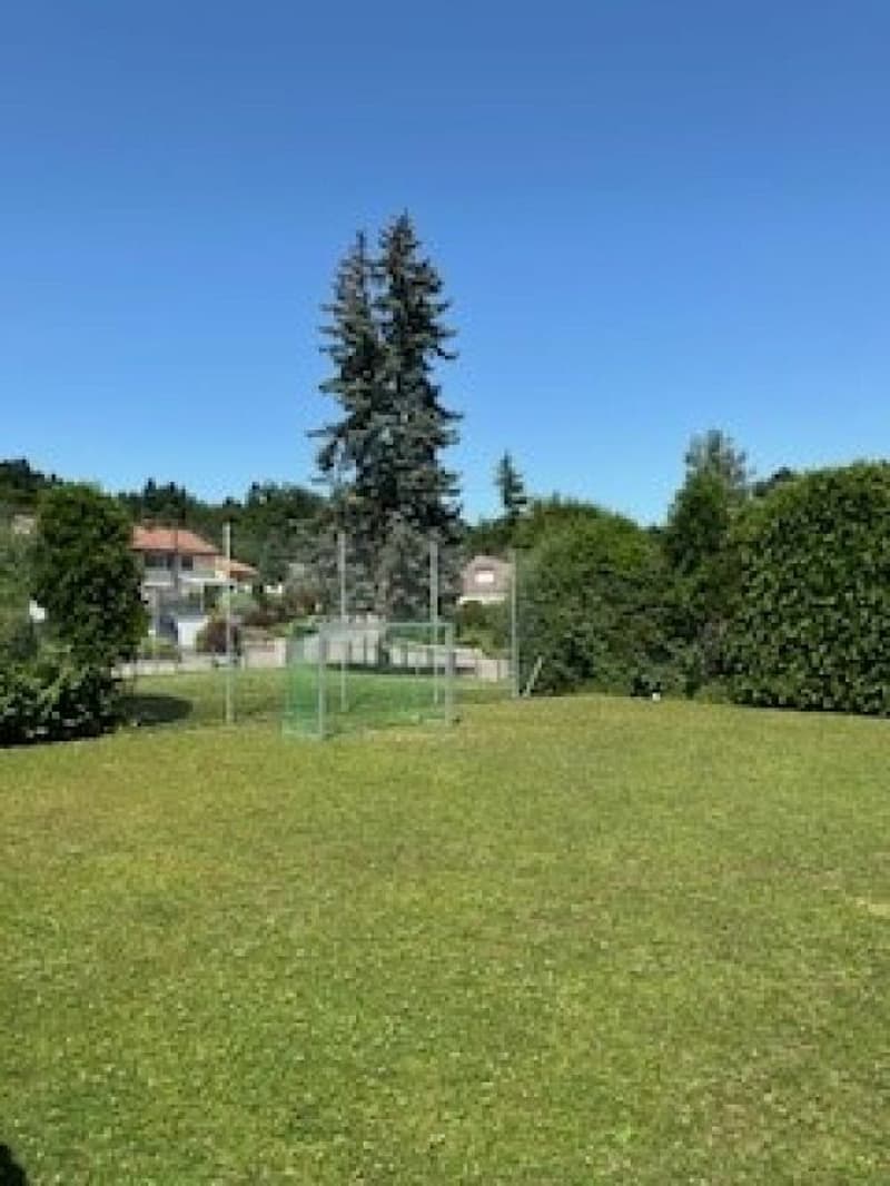 Auwiesenstrasse 47 C (13)