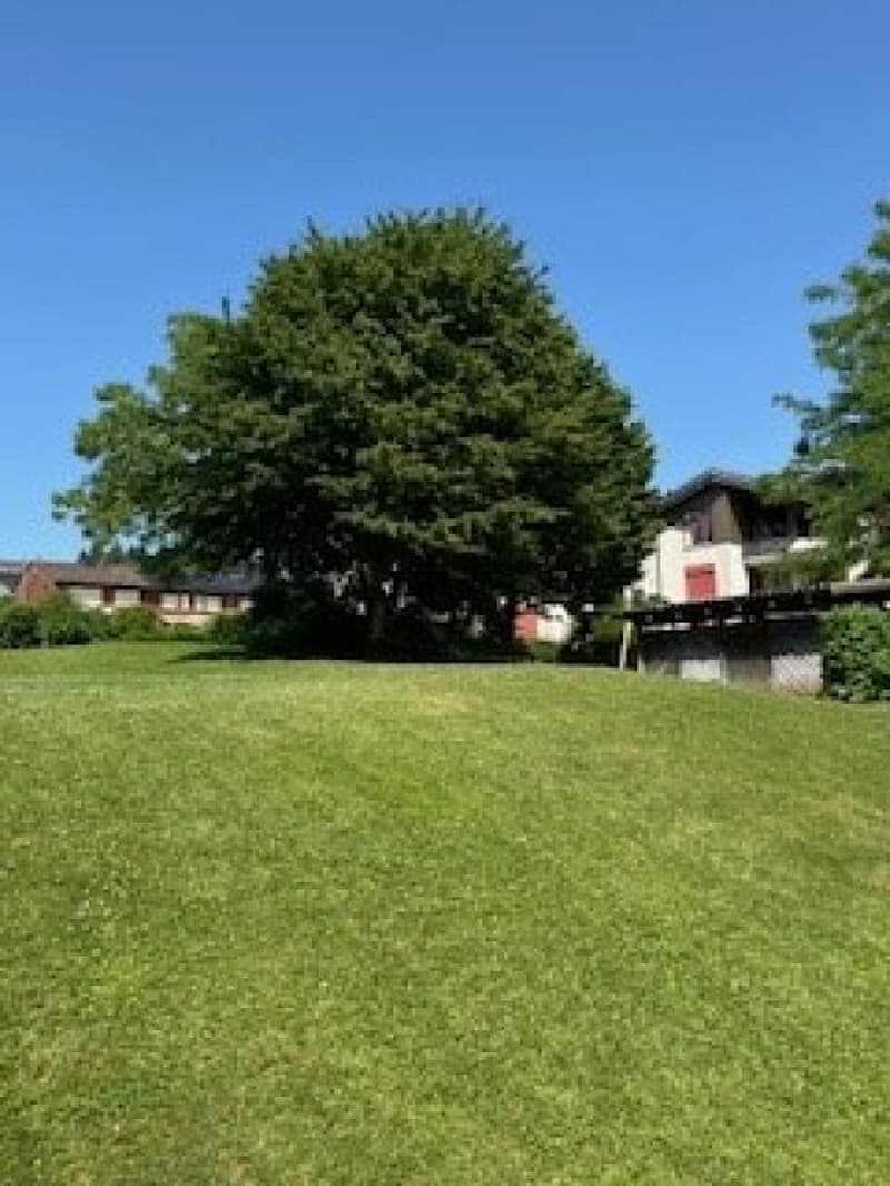 Auwiesenstrasse 47 C (11)
