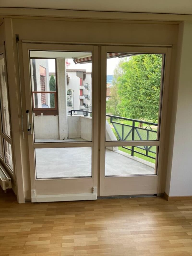 Auwiesenstrasse 47 C (5)