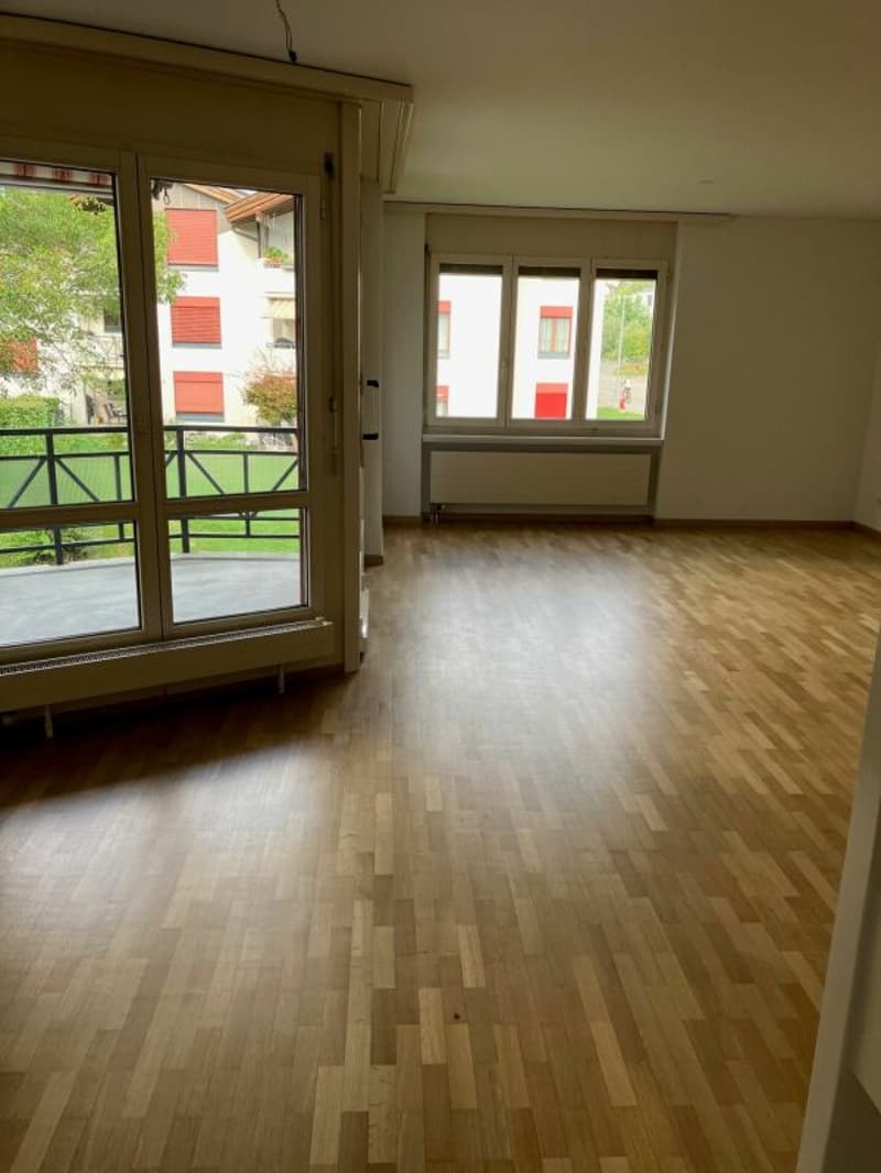 Auwiesenstrasse 47 C (4)