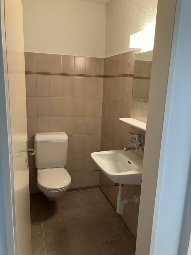 Auwiesenstrasse 47 C (7)