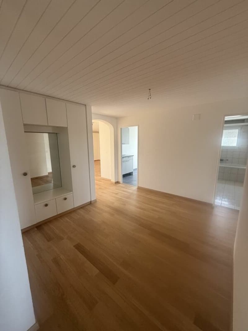 Appartement mansardé lumineux avec deux balcons (7)