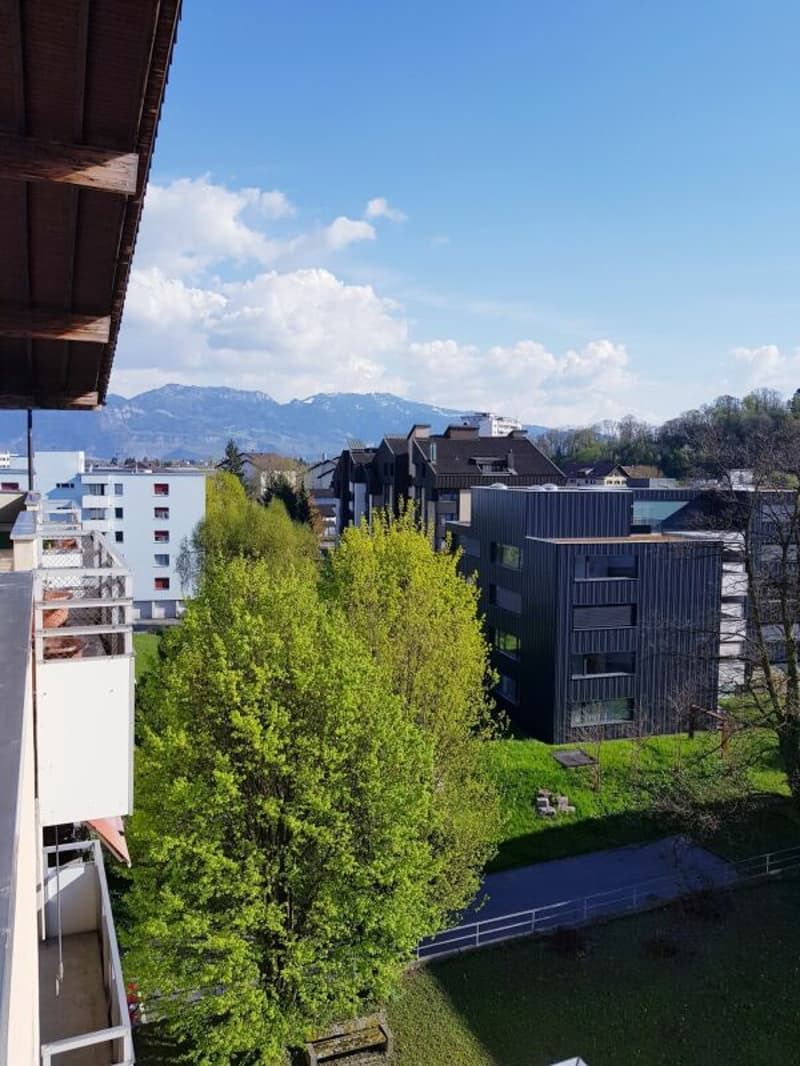 Appartement mansardé lumineux avec deux balcons (9)