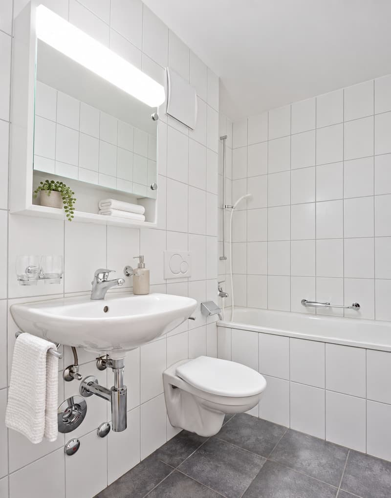 4 Zimmer-Wohnung, 4410 Liestal (5)