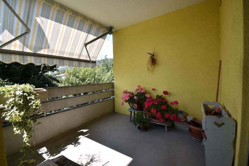geräumige 4.5-Zimmer-Wohnung (8)