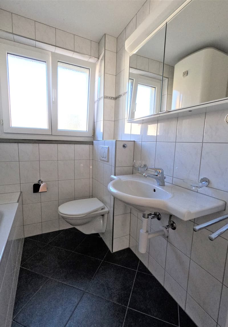 Lust auf ein neues Zuhause in St. Gallen? Dann unbedingt weiterlesen! (9)